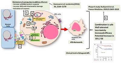 Evolving Chemotherapy Free Regimens for Acute Promyelocytic Leukemia